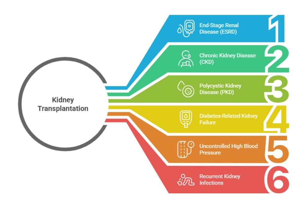 Modern Healthcare Facility